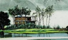 1986年属虎女的运势怎么样