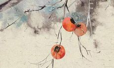 猴年属虎的运势怎么样2022