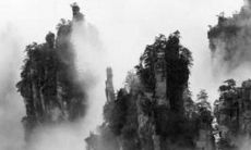 2023年最旺最顺的生肖