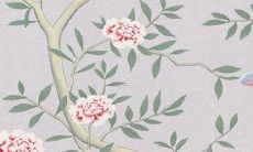 1998属虎的本命年