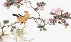 五行属金龙2022运势