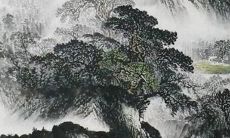 2022年属鼠人运势及运程详解