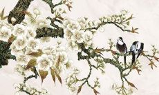 属兔射手女2022年全年运势