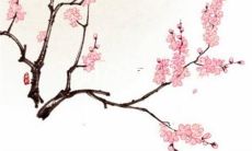 1998年属虎适合佩戴什么饰品