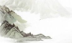 2022年属猴运势解密