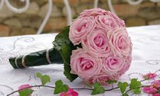 65526出生的人星座