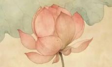 姓王好听的名字