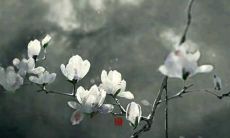 好听的qq分组名字女生