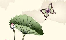 2022年属相运势及运程香港