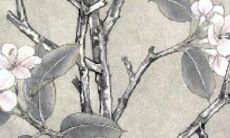 2022年生肖蛇犯太岁吗