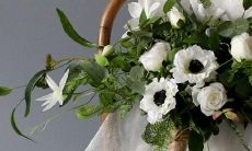 十二星座被欺负