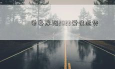 单身摩羯2022爱情运势