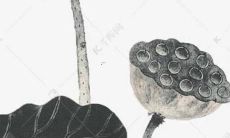 76龙女属相2022运势