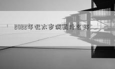 2022年犯太岁佩戴什么好