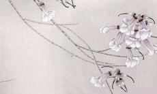 2022属虎人五月运势