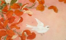 2022年88年龙女运势及运程