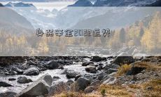 身弱辛金2022运势