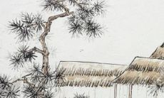 2022年犯太岁名人及事件