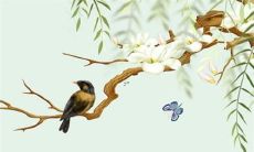 有心事放在心里不和别人分享的星座