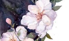 72年属鼠2022牢狱之灾 72年属鼠人2022年如何化灾