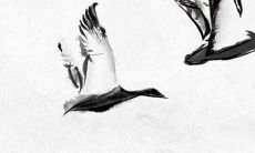 虎年运势2022年哪个属相好