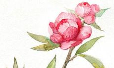 2022缺金的女孩名字