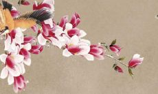 属蛇1965年2022年运势