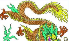 属龙的射手座性格怎么样 追求新奇