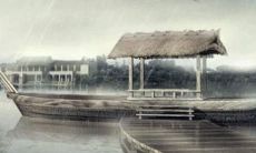 兔年猴子运势2022运势详解