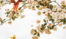 85男的牛2022年运势如何