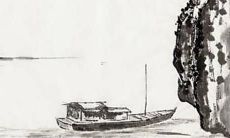 95属猪2022年考试运势