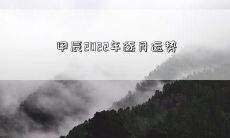 甲辰2022年逐月运势