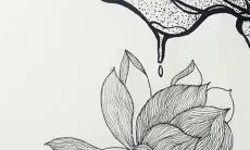 1981鸡女2022年运势详解