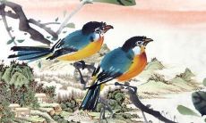 宋韶光2022年流年运势书