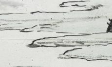 83年属猪2022最艰难 83年属猪人虎年会遇到什么坎坷