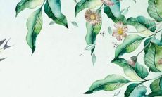 好听的和尚名字