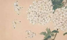 2022年运势属猴的