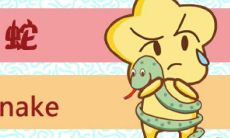 2023年生肖蛇佩戴什么比较旺自己