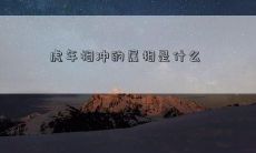 虎年相冲的属相是什么