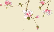 1969猪2022运势年运势