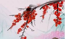 2022年梁姓女宝宝取名