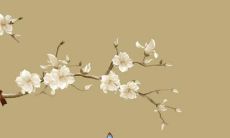 2022年犯太岁的有哪些属相