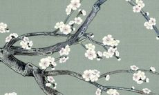 静电与2022年运势