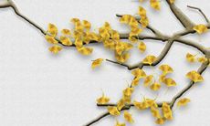 玉一般戴多久就认主人