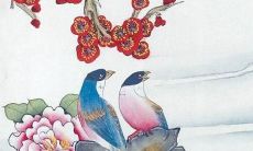 寿星宫2022年运势