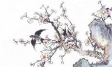 75年生肖兔47岁有劫难吗 75年属兔人2022年运势