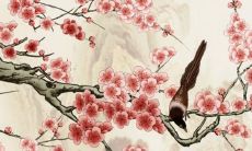 77生肖蛇女2022运势