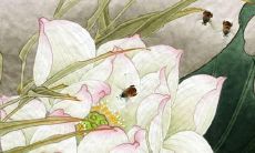 属马女孩2022年工作运势