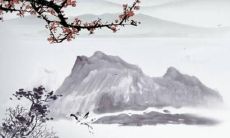 2022年属猪带什么好