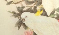 2022年虎年男本命年运势